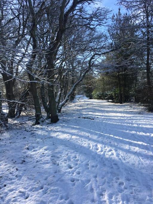 Kings Cottage, Nairn - A Charming Place To Stay Luaran gambar